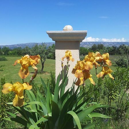 알렝 Lamanderie En Provence B&B 외부 사진