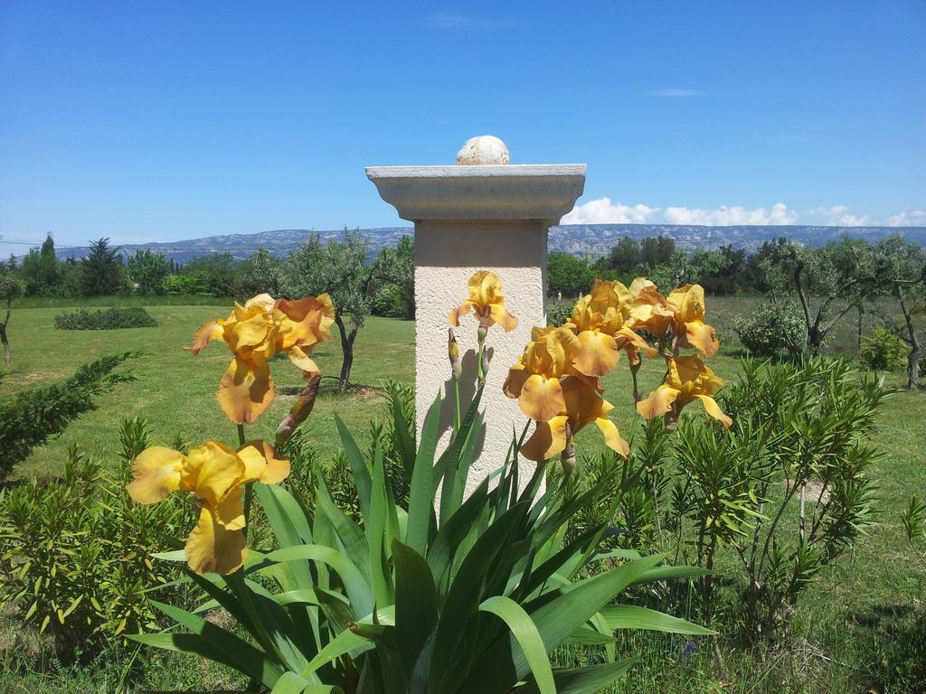 알렝 Lamanderie En Provence B&B 외부 사진